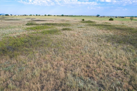 Rare 80 Acre Recreational Property in Hardeman County - image 16