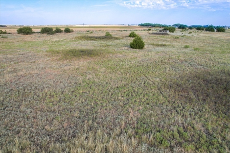 Rare 80 Acre Recreational Property in Hardeman County - image 9