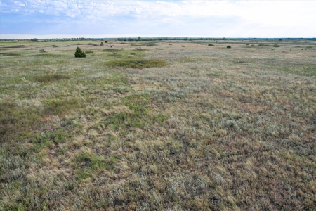 Rare 80 Acre Recreational Property in Hardeman County - image 10
