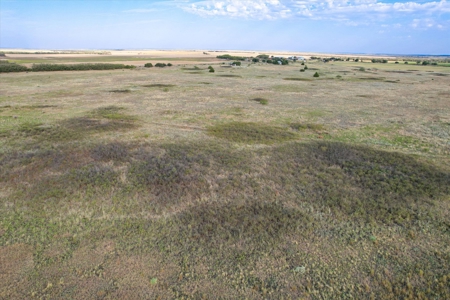 Rare 80 Acre Recreational Property in Hardeman County - image 6