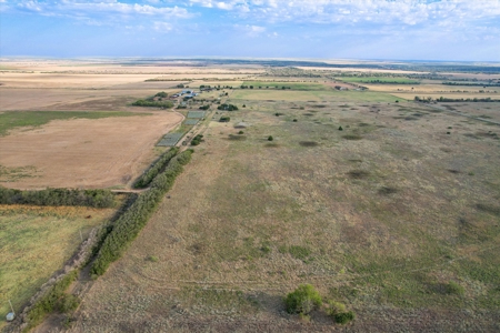 Rare 80 Acre Recreational Property in Hardeman County - image 2