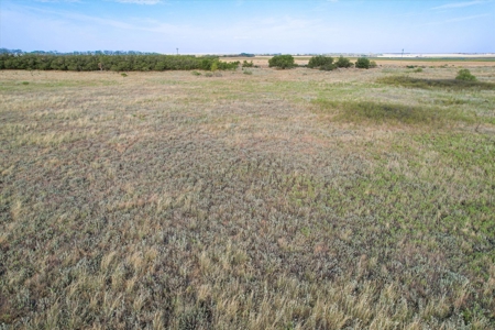 Rare 80 Acre Recreational Property in Hardeman County - image 12