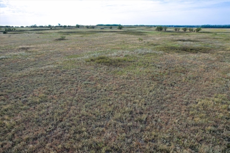 Rare 80 Acre Recreational Property in Hardeman County - image 11
