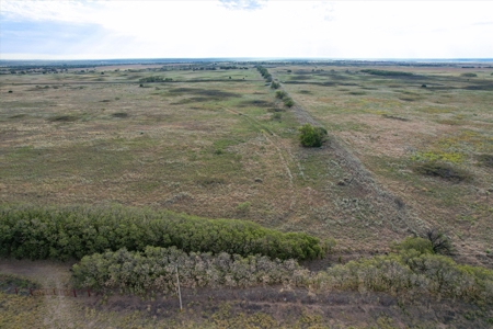 Rare 80 Acre Recreational Property in Hardeman County - image 25