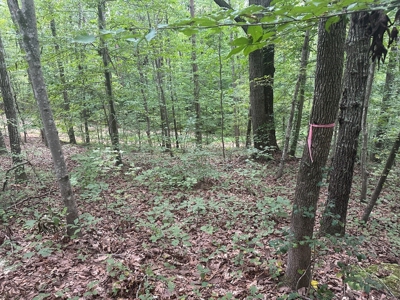 Peaceful 0.46-Acre Lot Near Clarksville, VA - image 9