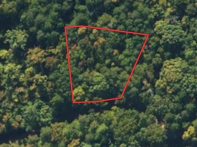 Peaceful 0.46-Acre Lot Near Clarksville, VA - image 1