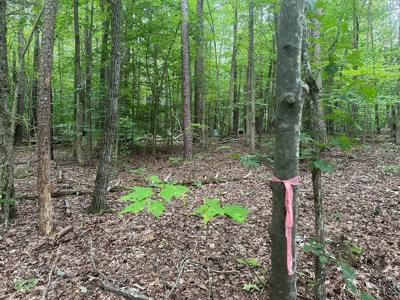 Peaceful 0.46-Acre Lot Near Clarksville, VA - image 13