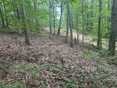 Peaceful 0.46-Acre Lot Near Clarksville, VA - image 4