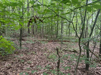 Peaceful 0.46-Acre Lot Near Clarksville, VA - image 3