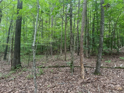 Peaceful 0.46-Acre Lot Near Clarksville, VA - image 14