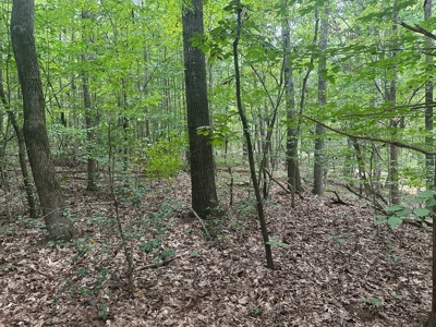 Peaceful 0.46-Acre Lot Near Clarksville, VA - image 8