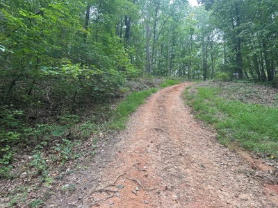 Peaceful 0.46-Acre Lot Near Clarksville, VA - image 6