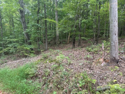 Peaceful 0.46-Acre Lot Near Clarksville, VA - image 12