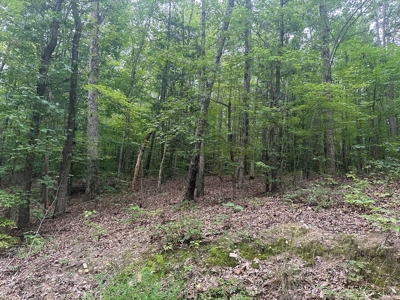 Peaceful 0.46-Acre Lot Near Clarksville, VA - image 2