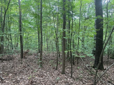 Peaceful 0.46-Acre Lot Near Clarksville, VA - image 11