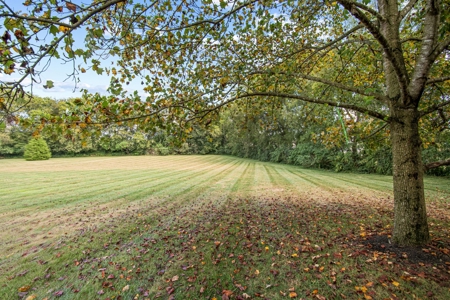 Country Home for Sale in Maury County, Tennessee - image 48