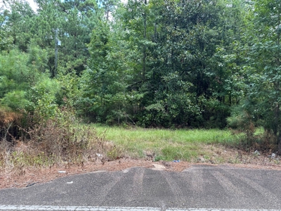 Hardwood Creek-Pine Land W/ Road for Sale near Oakdale, LA - image 3
