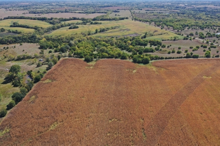 Mercer County Missouri Highly Tillable Farm Ground - image 11