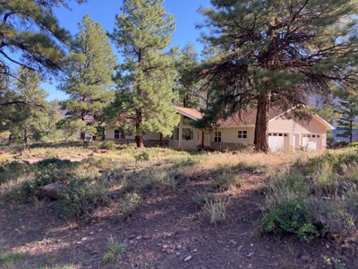 Spacious Mountain Home For Sale in Ridgway, Colorado - image 3