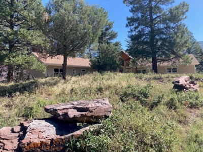 Spacious Mountain Home For Sale in Ridgway, Colorado - image 33