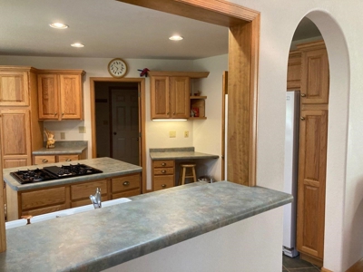 Spacious Mountain Home For Sale in Ridgway, Colorado - image 12