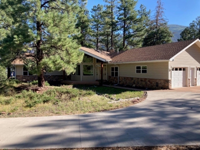 Spacious Mountain Home For Sale in Ridgway, Colorado - image 4