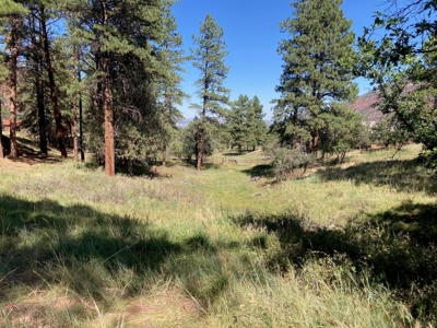 Spacious Mountain Home For Sale in Ridgway, Colorado - image 31