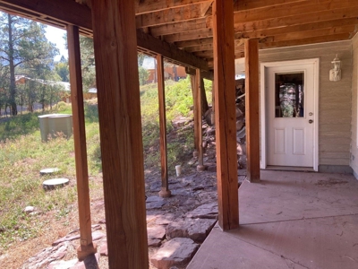Spacious Mountain Home For Sale in Ridgway, Colorado - image 26