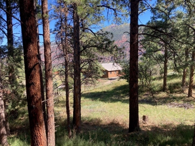 Spacious Mountain Home For Sale in Ridgway, Colorado - image 25