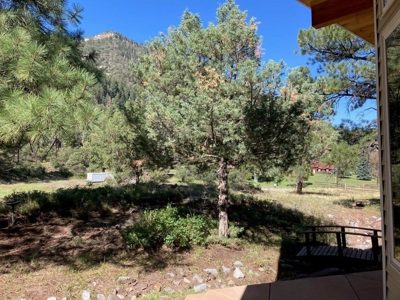 Spacious Mountain Home For Sale in Ridgway, Colorado - image 28
