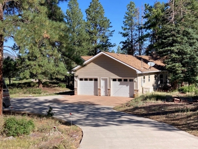 Spacious Mountain Home For Sale in Ridgway, Colorado - image 5