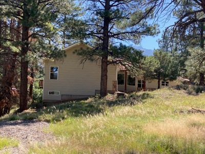 Spacious Mountain Home For Sale in Ridgway, Colorado - image 34