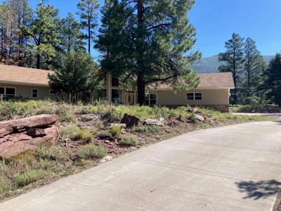 Spacious Mountain Home For Sale in Ridgway, Colorado - image 32