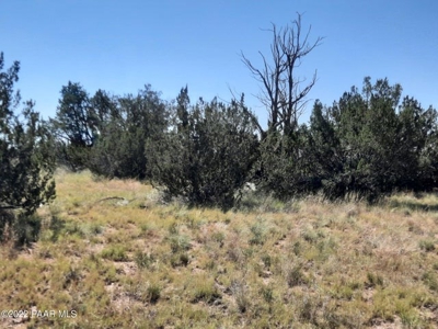 Northern AZ Off Grid  Recreational Property - image 6