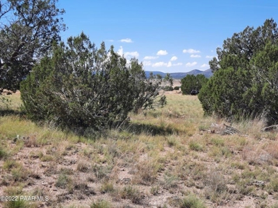 Northern AZ Off Grid  Recreational Property - image 1