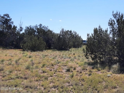 Northern AZ Off Grid  Recreational Property - image 7