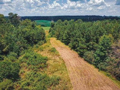Downsville 85 - Union Parish Timberland for Sale - image 16