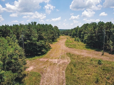 Downsville 85 - Union Parish Timberland for Sale - image 9