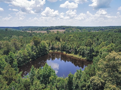 Downsville 85 - Union Parish Timberland for Sale - image 10