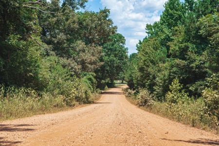 Downsville 85 - Union Parish Timberland for Sale - image 35