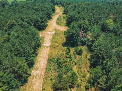 Downsville 85 - Union Parish Timberland for Sale - image 18