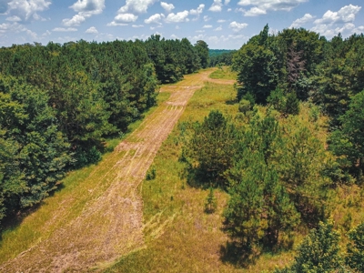 Downsville 85 - Union Parish Timberland for Sale - image 17