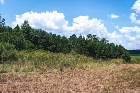 Downsville 85 - Union Parish Timberland for Sale - image 22