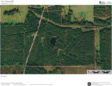 Downsville 85 - Union Parish Timberland for Sale - image 42