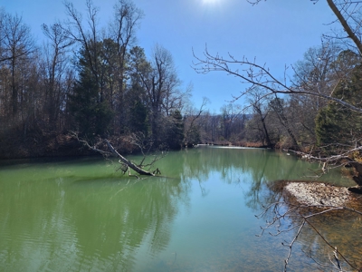 Country Home Surrounded by Ouachita National Forest - image 12
