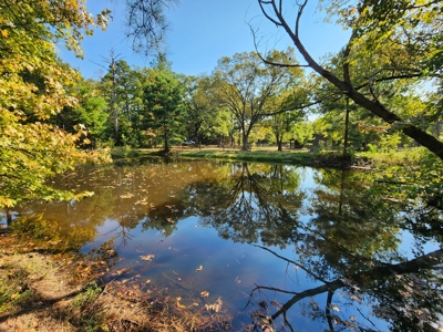 Country Home Surrounded by Ouachita National Forest - image 14