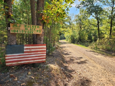 Country Home Surrounded by Ouachita National Forest - image 40
