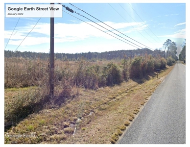 Cleared/Undeveloped Land, Highway for Sale near Oakdale, LA - image 2