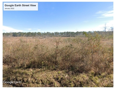 Cleared/Undeveloped Land, Highway for Sale near Oakdale, LA - image 3