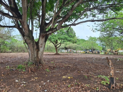 Lot one block from the Interamericana Highway, Chame - image 8